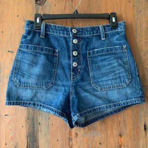 Nili Lotan Distressed Jean Shorts